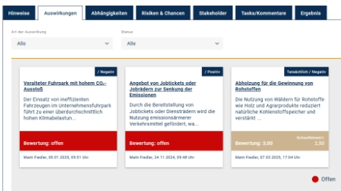 Verwaltung einzelner Wesentlichkeitsaspekte