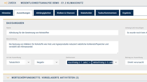 Bearbeitung der Auswirkungen einzelner Wesentlichkeitsaspekte